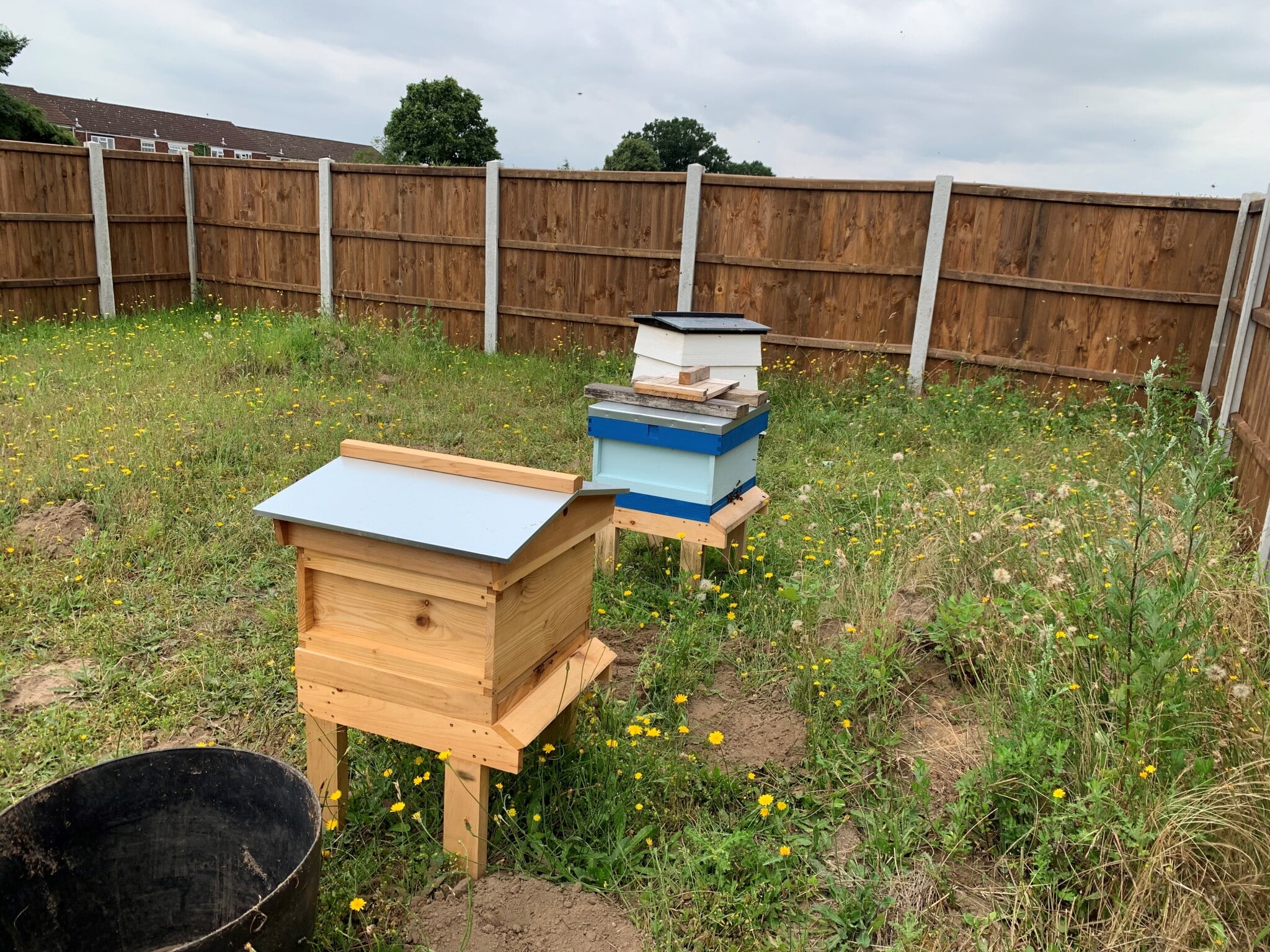 Apiary One