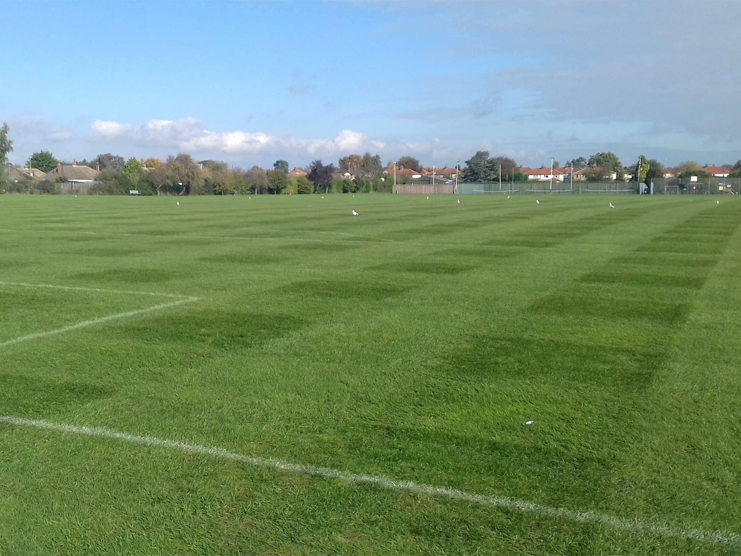 Football Pitch Hellesdon Recreation Ground